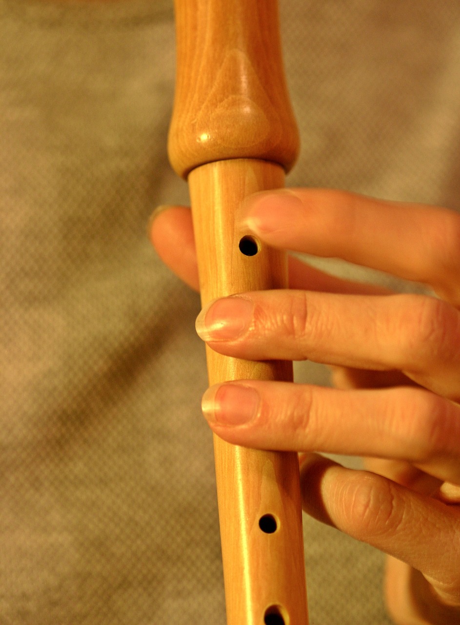 flute recorder music free photo