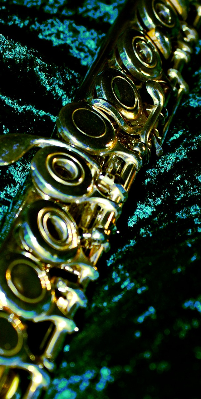 flute ring keys close free photo