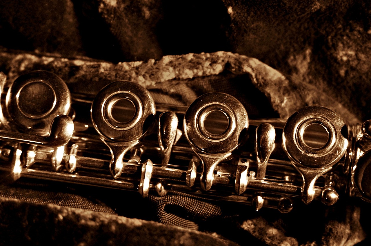 flute mechanics ring keyed flute free photo