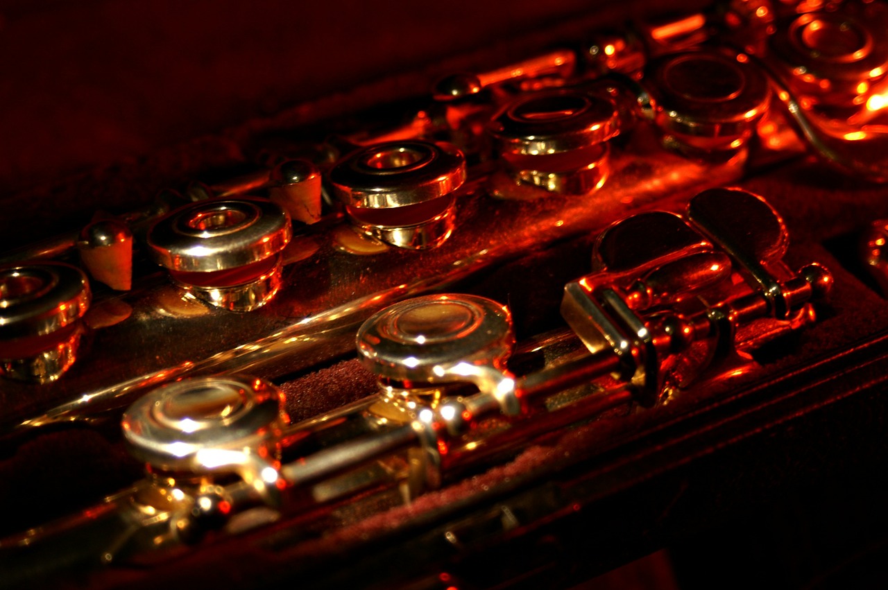 flute disassembled box free photo