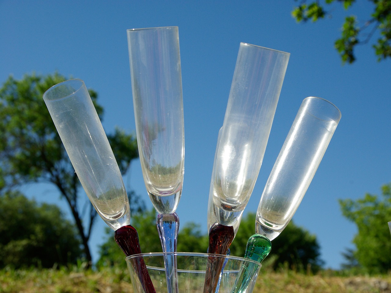 flutes champagne glasses free photo