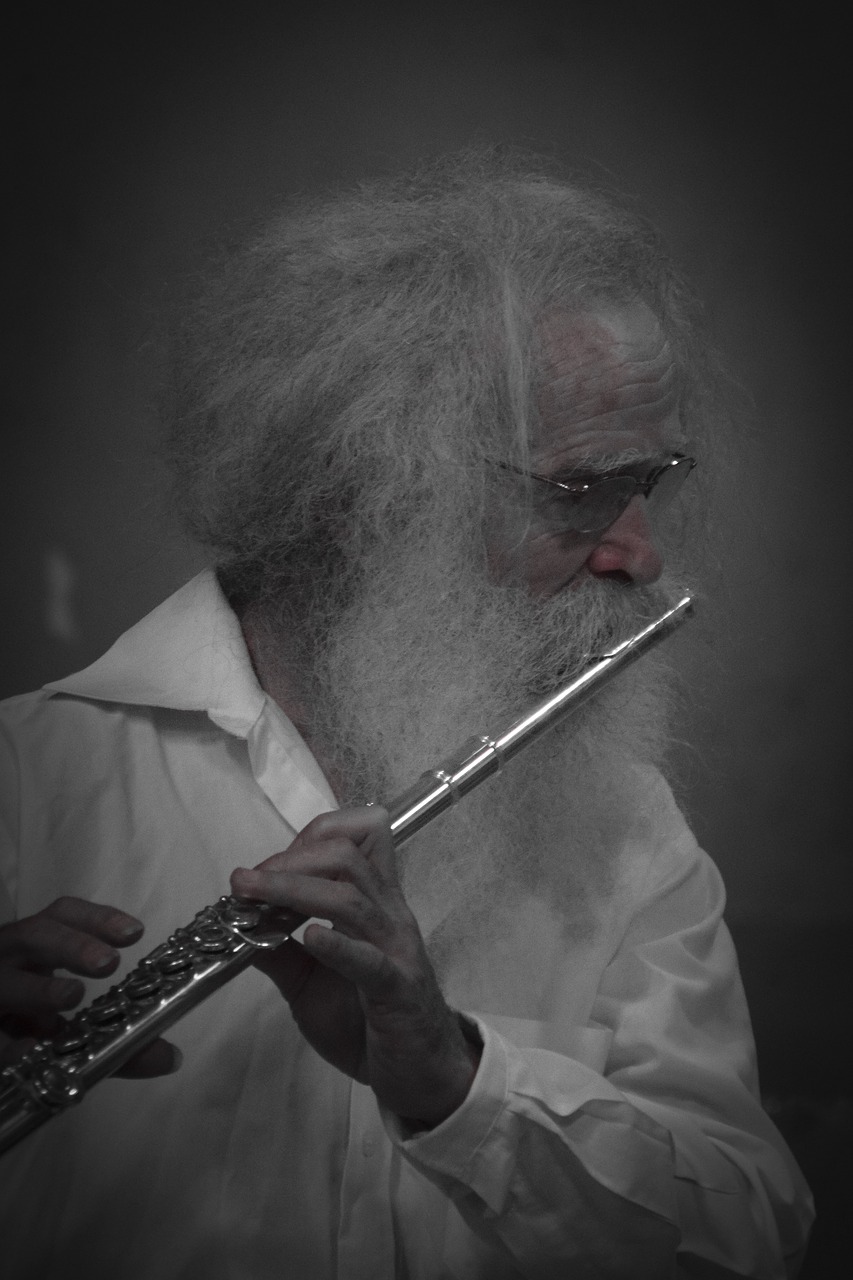 flutist  musician  instrument free photo