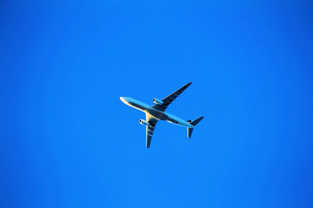 fly airplane aircraft free photo