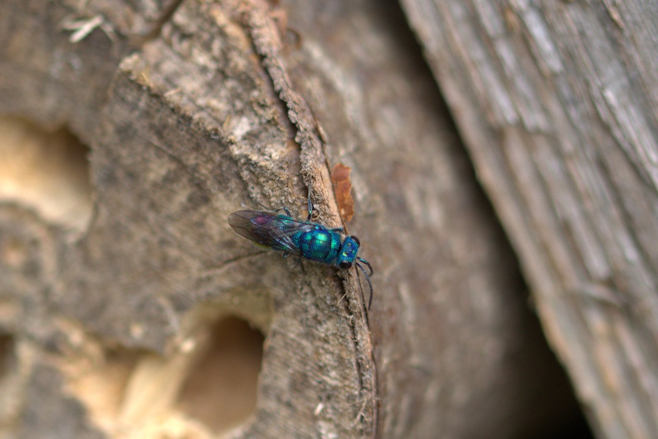 fly colorful lights up free photo