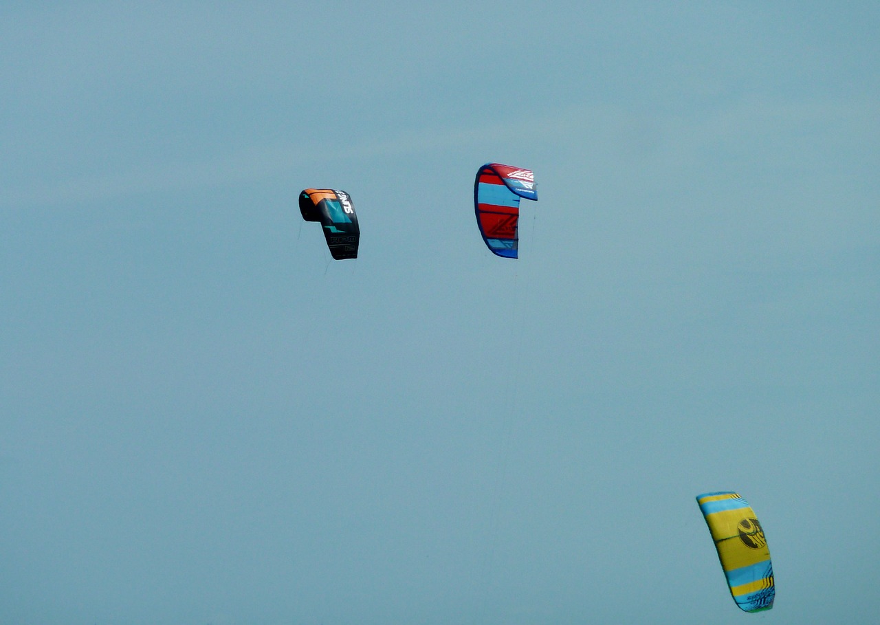 fly glide kite free photo