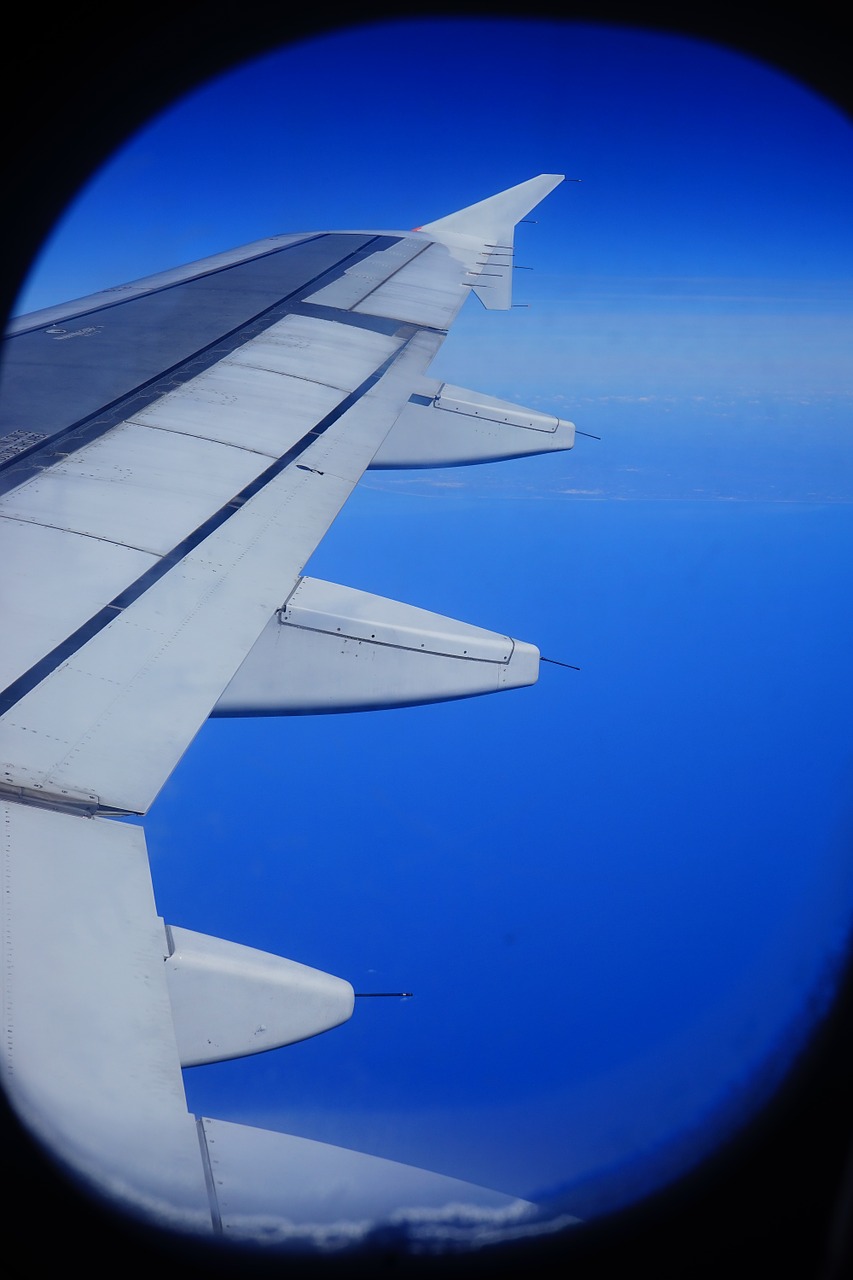 fly aircraft wing free photo