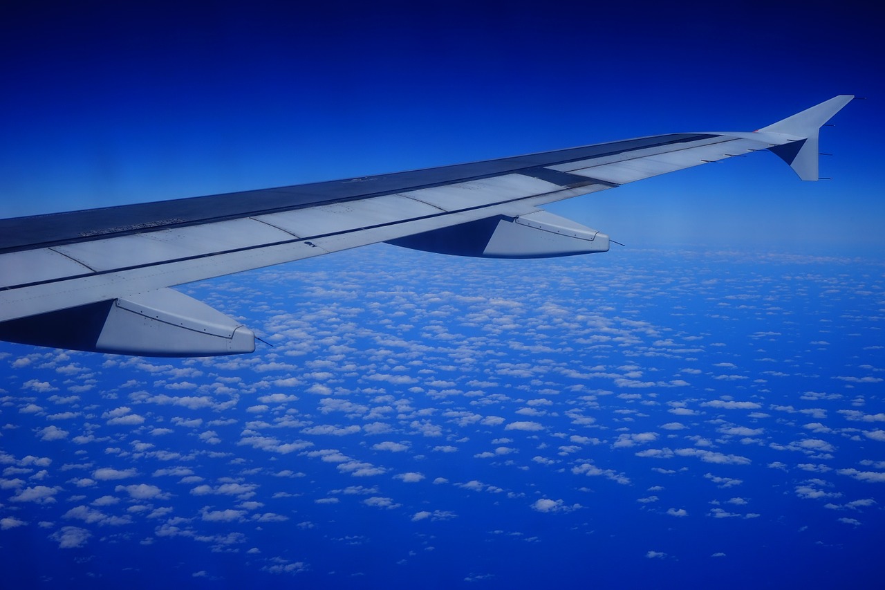 fly aircraft wing free photo