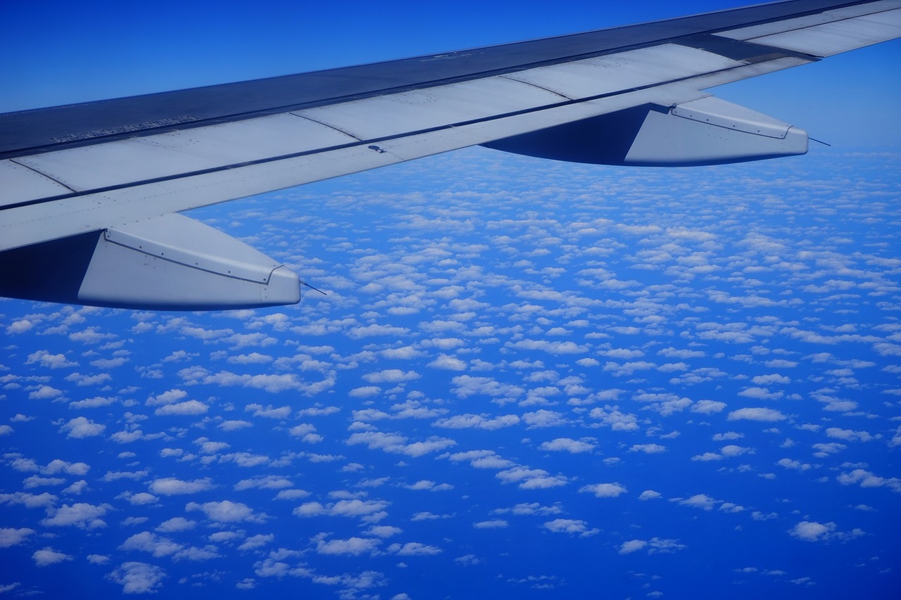 fly aircraft wing free photo