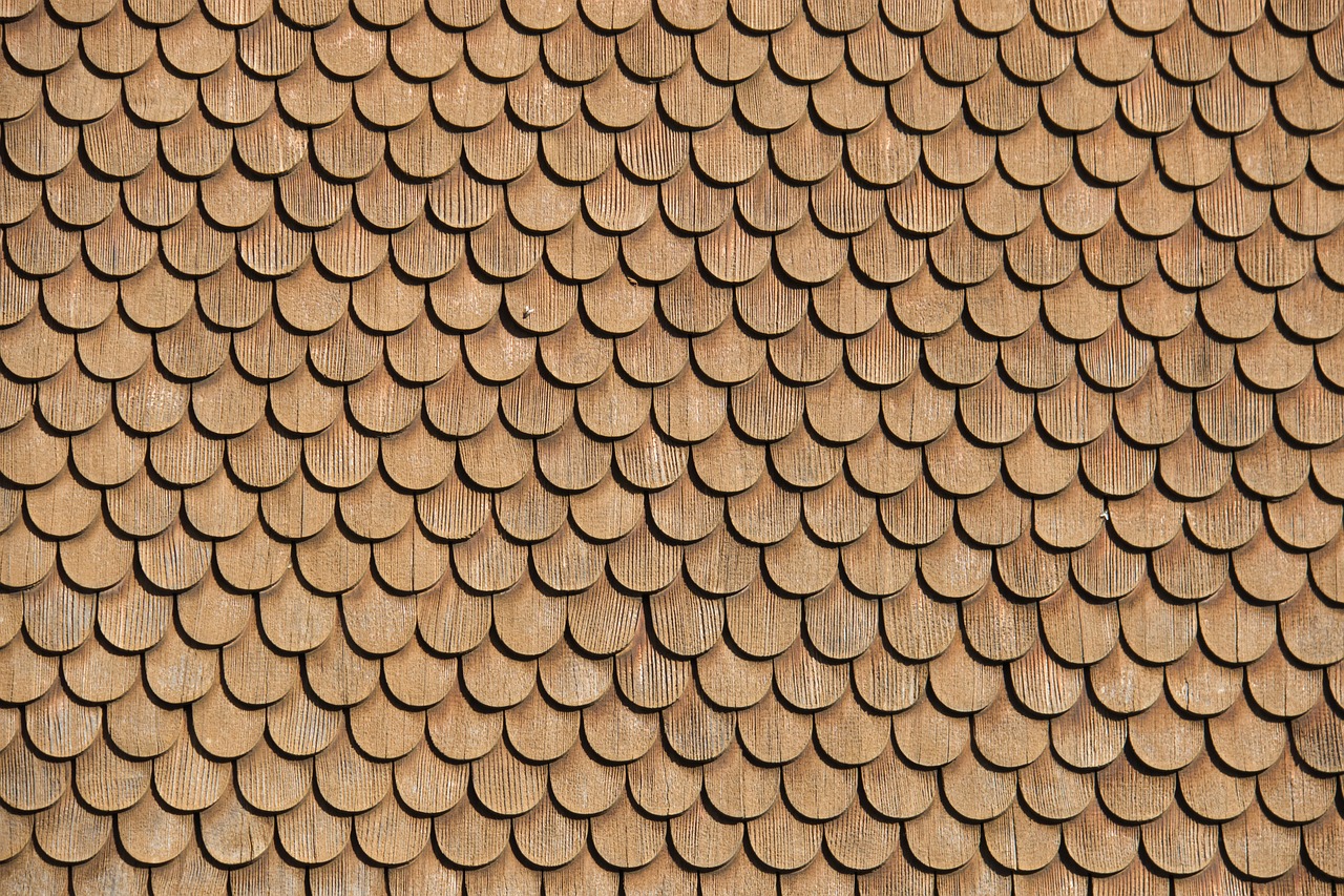 fly  wood shingles  shingle free photo