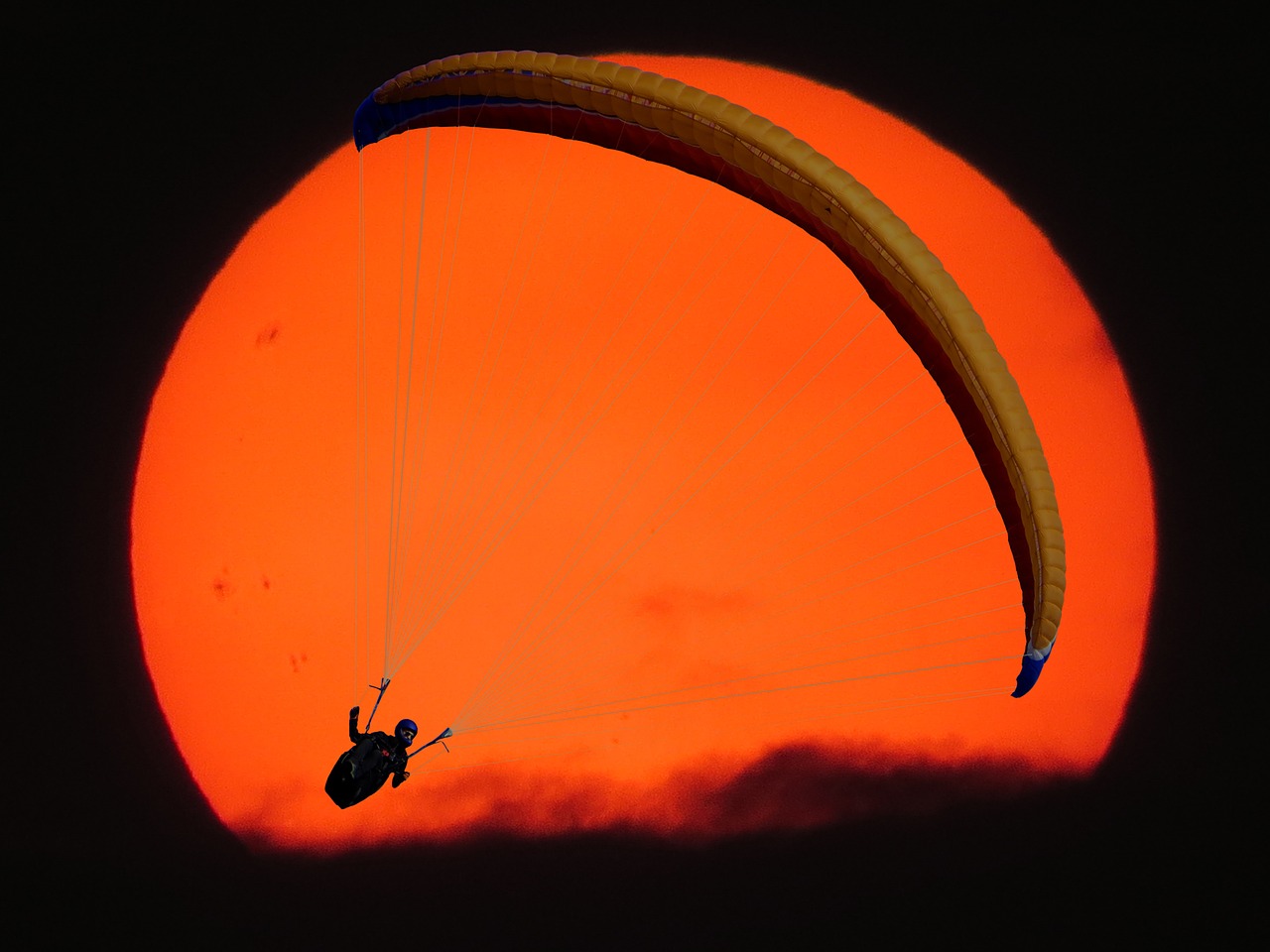 fly paragliding paraglider free photo