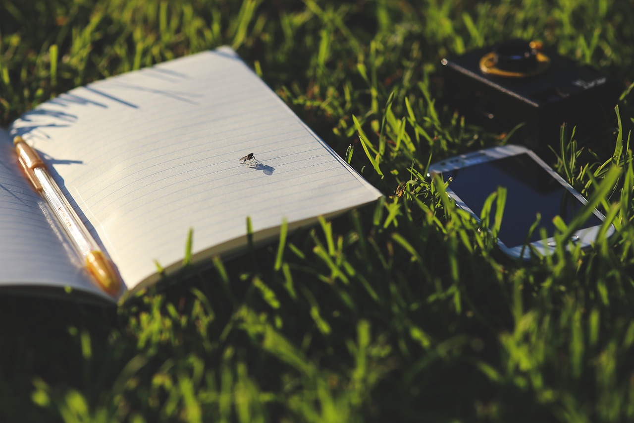 fly notebook grass free photo