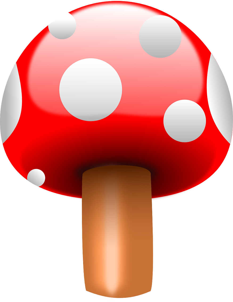 fly agaric mushroom red free photo