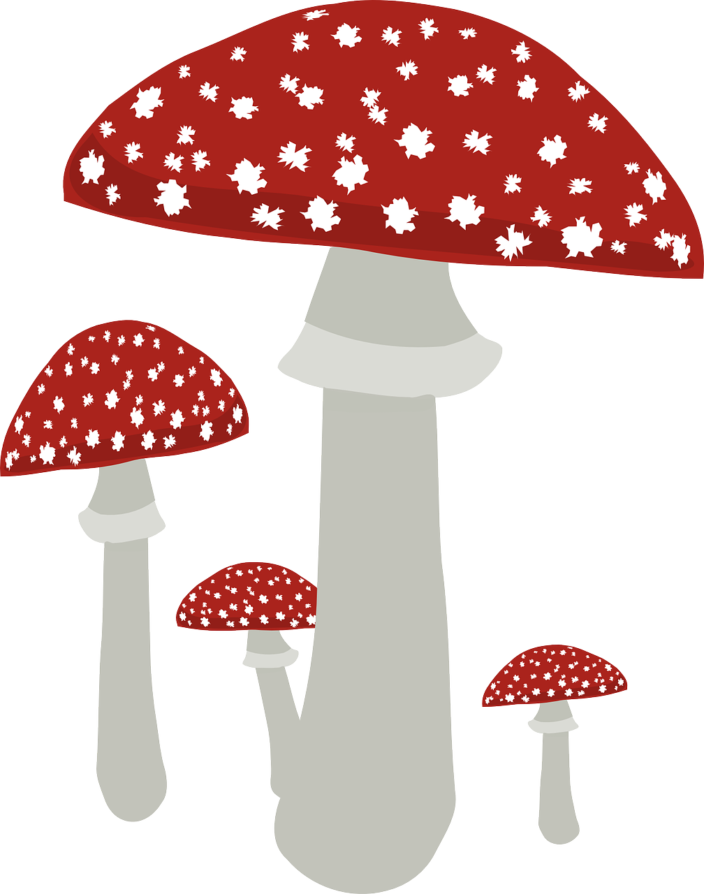 fly agaric fungus mushroom free photo