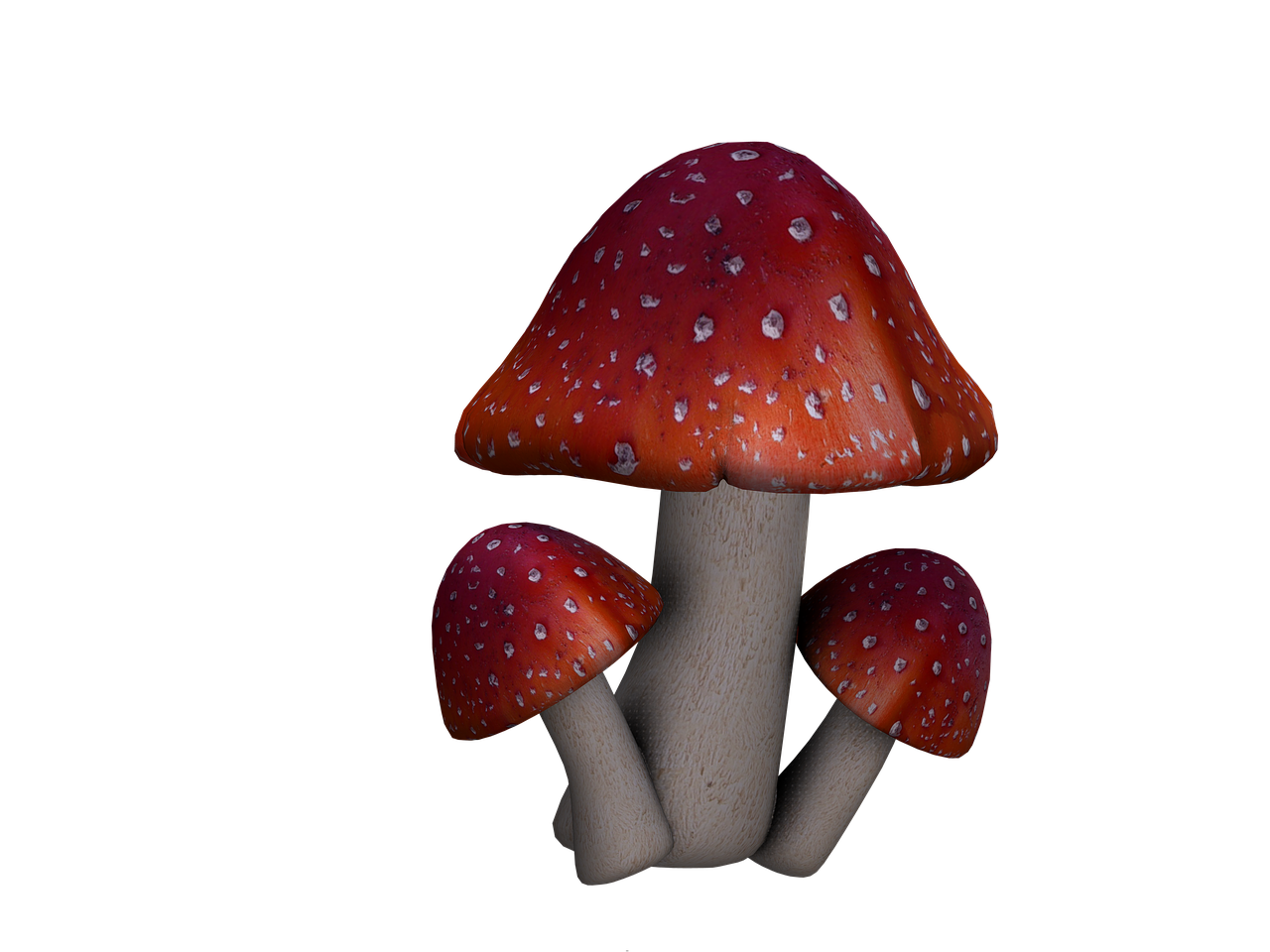 fly agaric mushrooms fantasy free photo