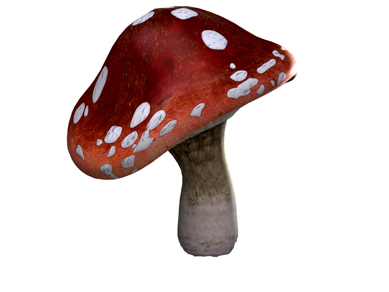 fly agaric mushrooms fantasy free photo