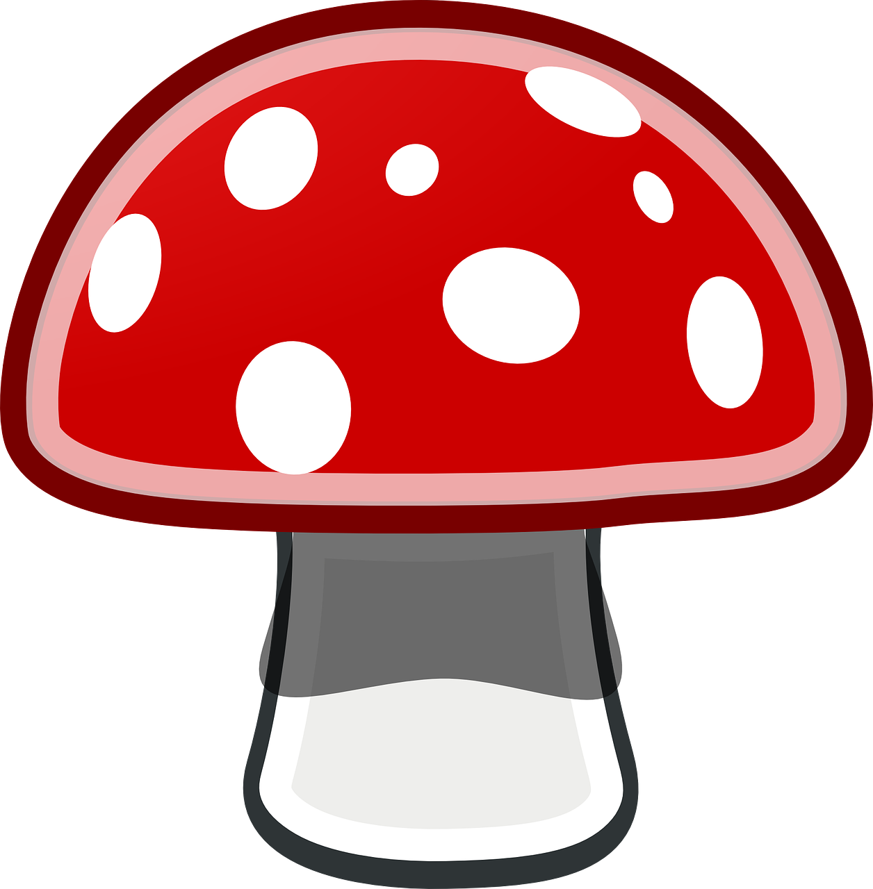 fly agaric mushroom red free photo