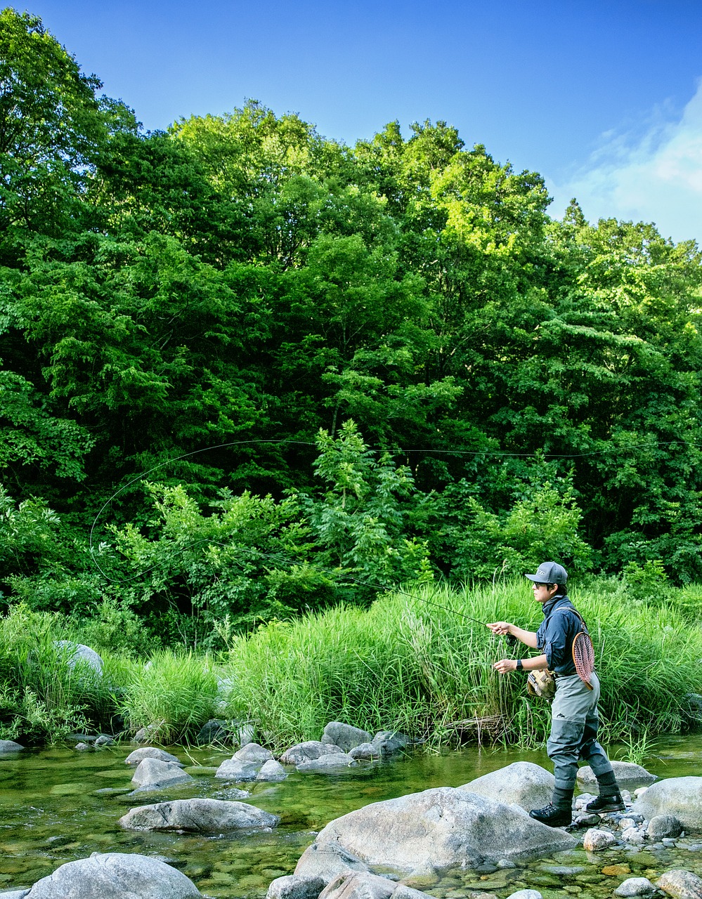 fly fishing fishing fly free photo