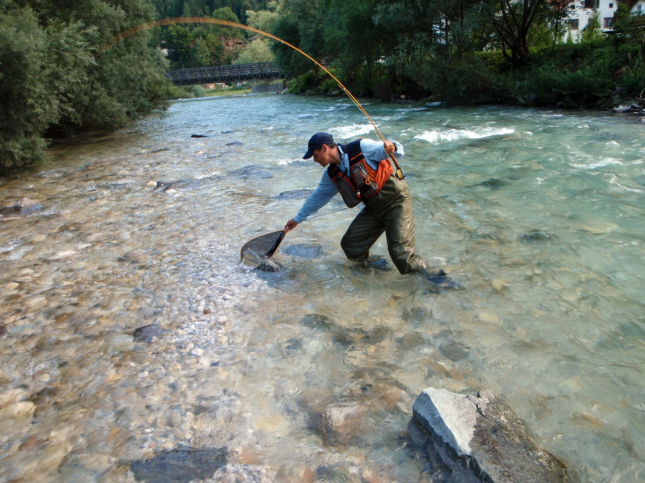 fly fishing fish angler free photo