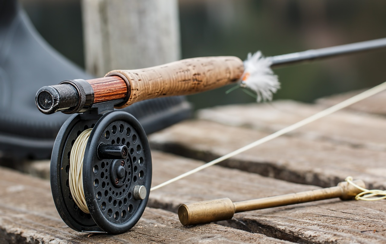 fly fishing angling fishing free photo