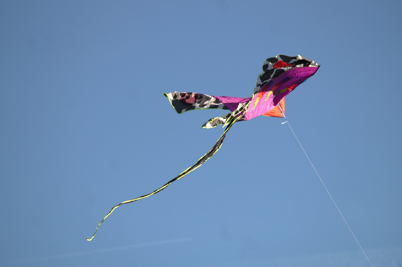 flying kite autumn free photo