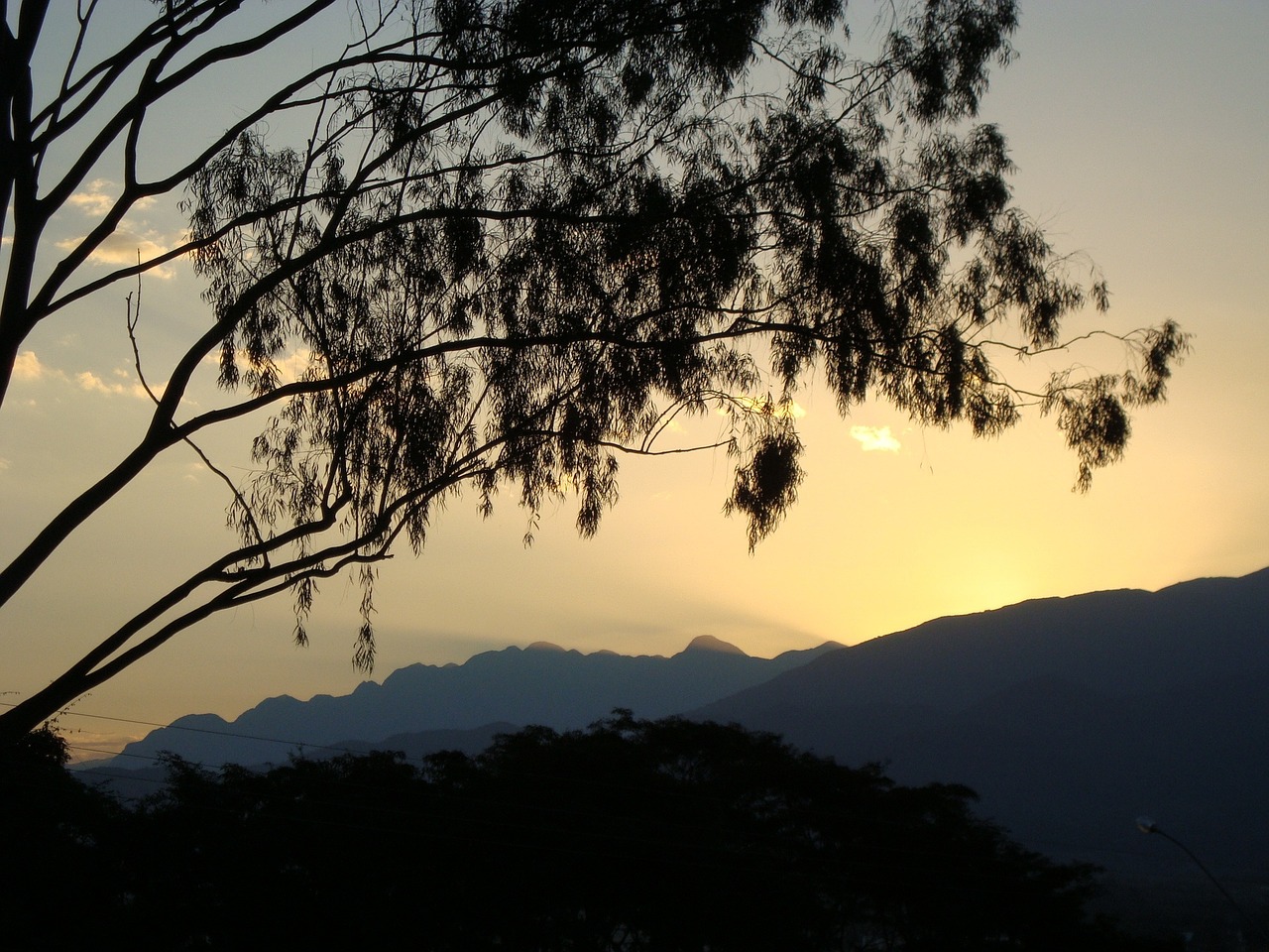 flying mountain tree free photo