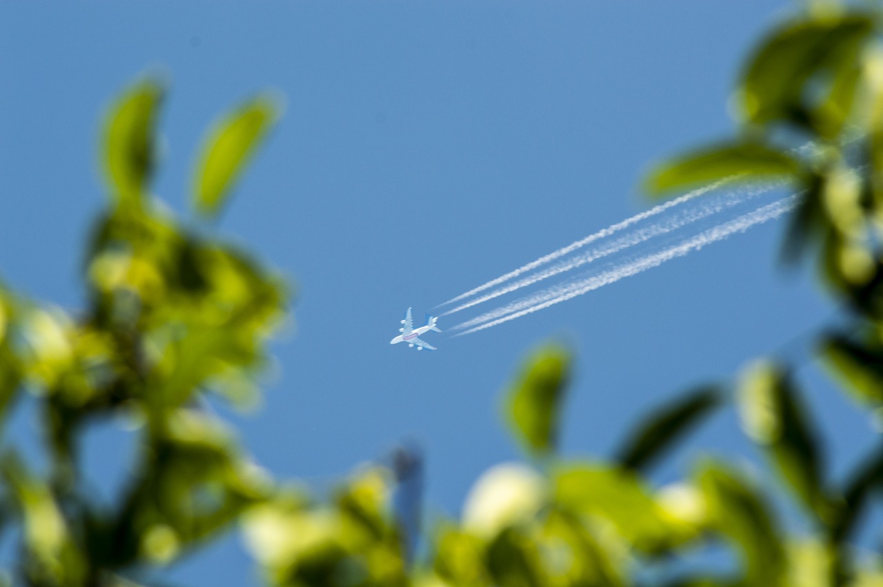 flying  sky  blue free photo