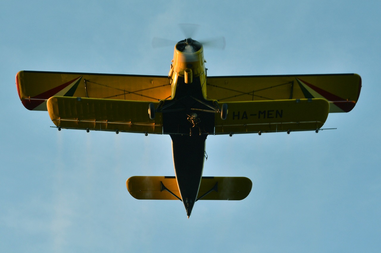 flying yellow sky free photo