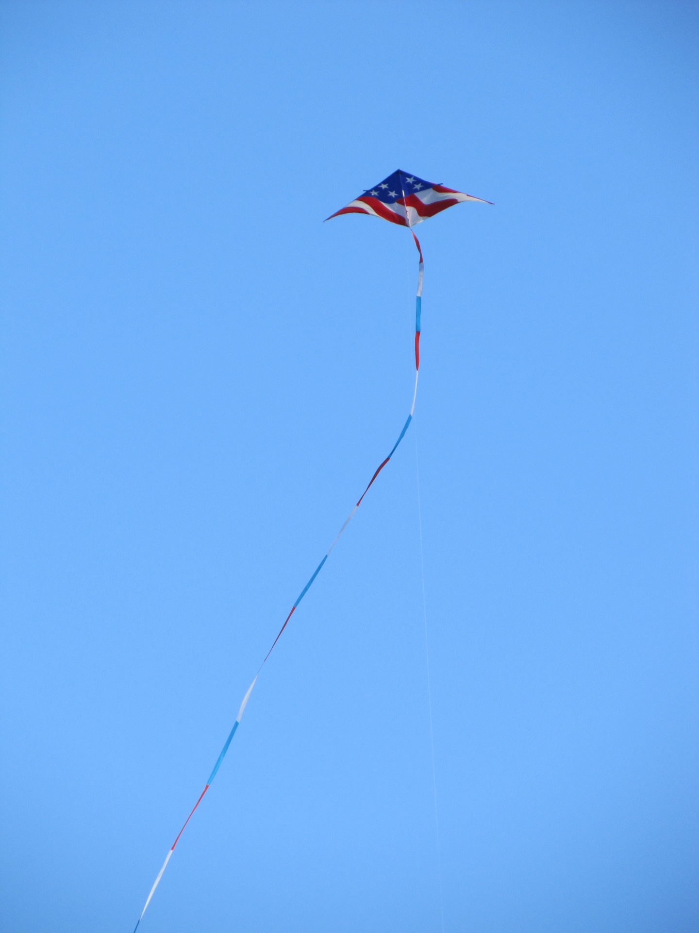 kite flying fun free photo