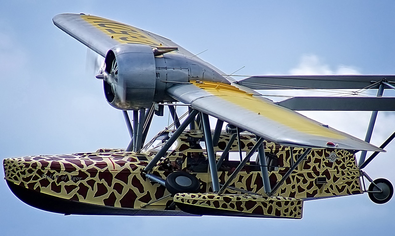 flying giraffe flying boat sikorsky s-39 free photo