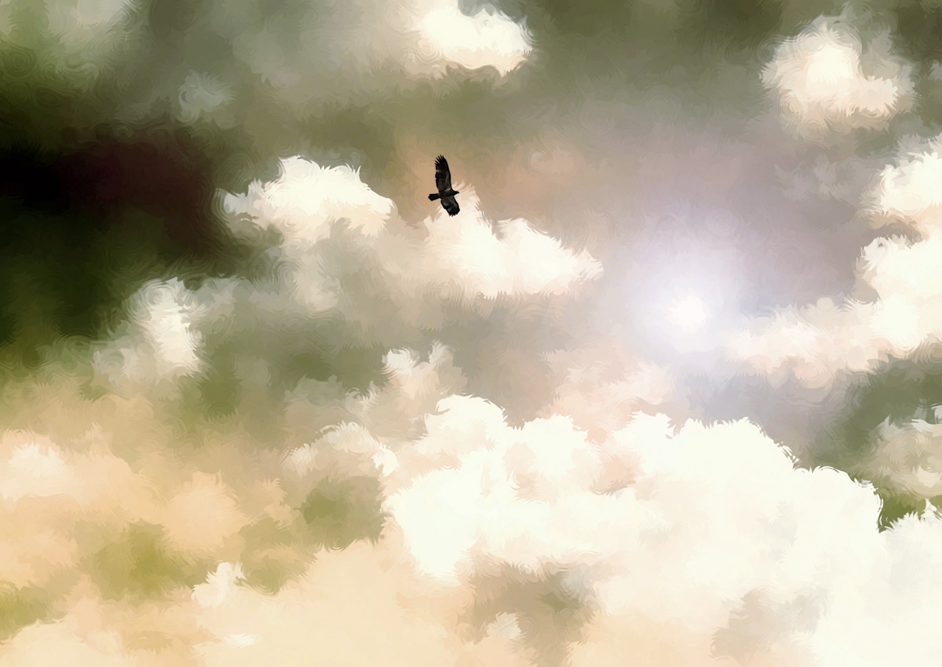 birds sky clouds free photo