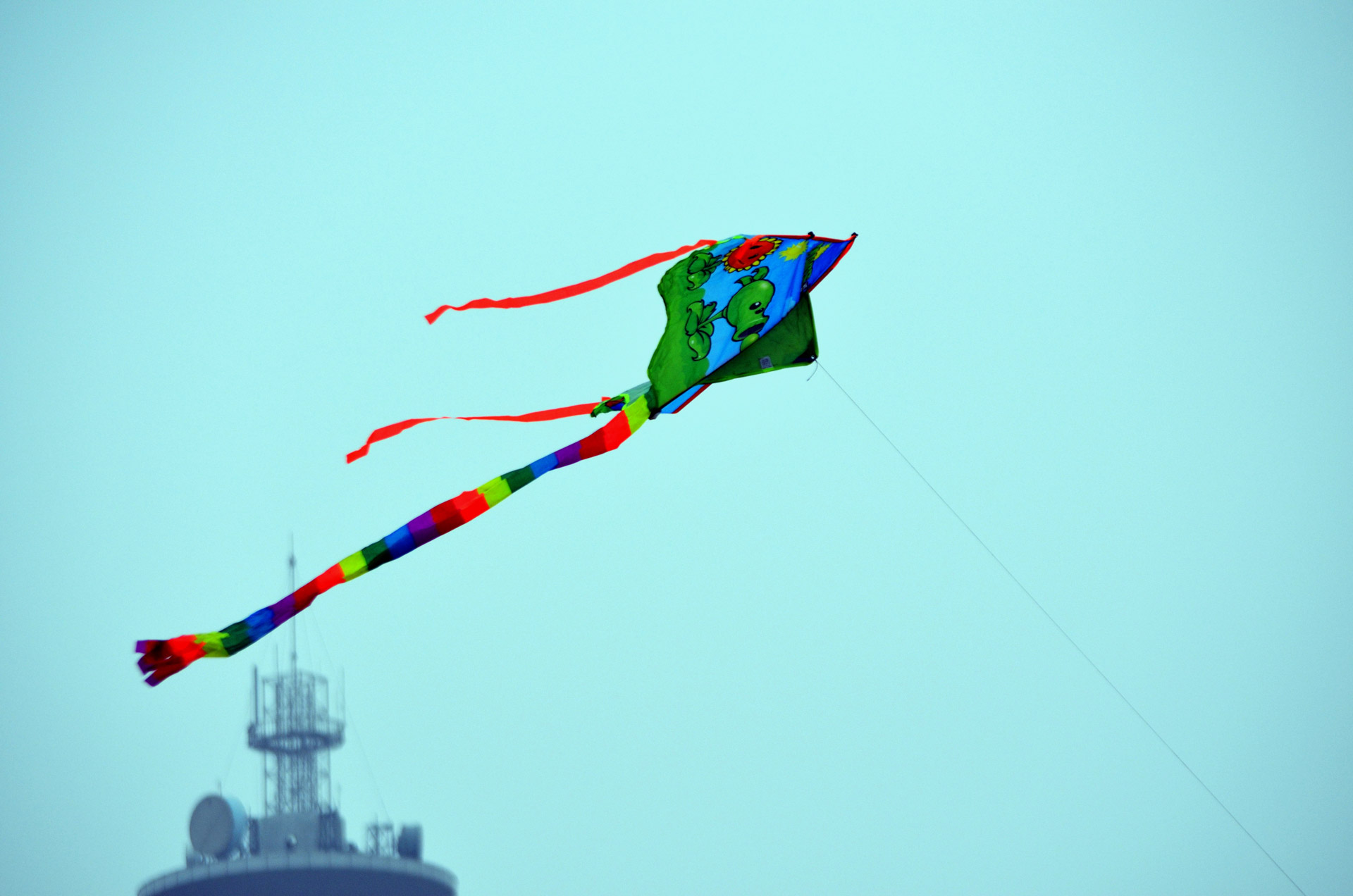 kite fly flying free photo