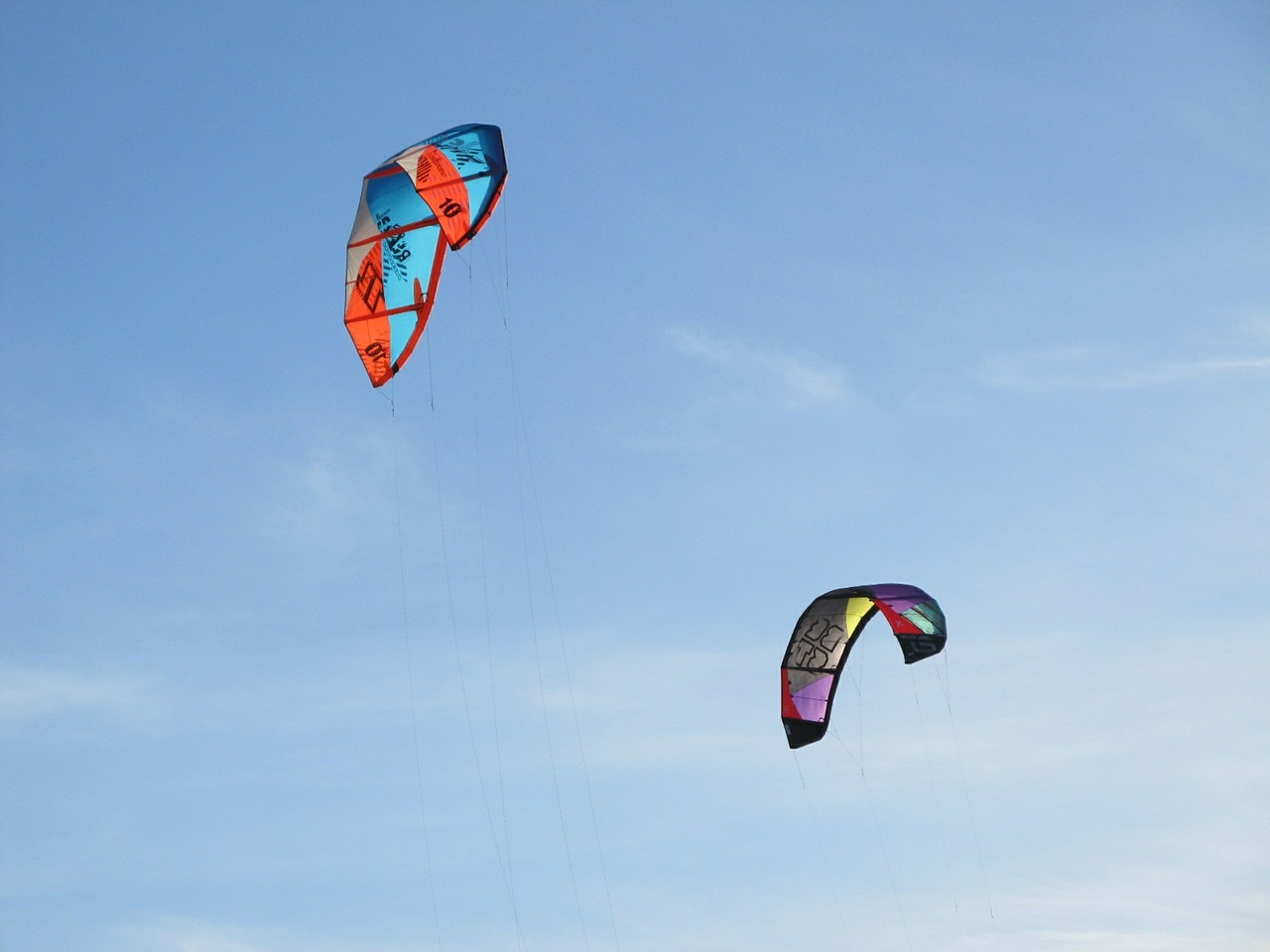 flying kites dragons beach free photo