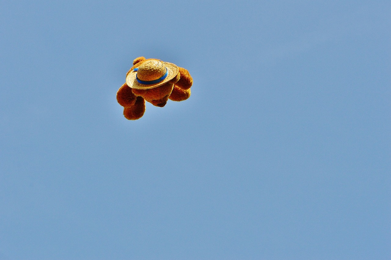 flying teddy funny teddy free photo