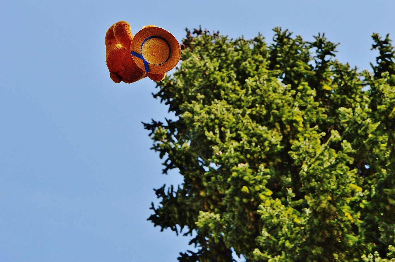 flying teddy funny teddy free photo