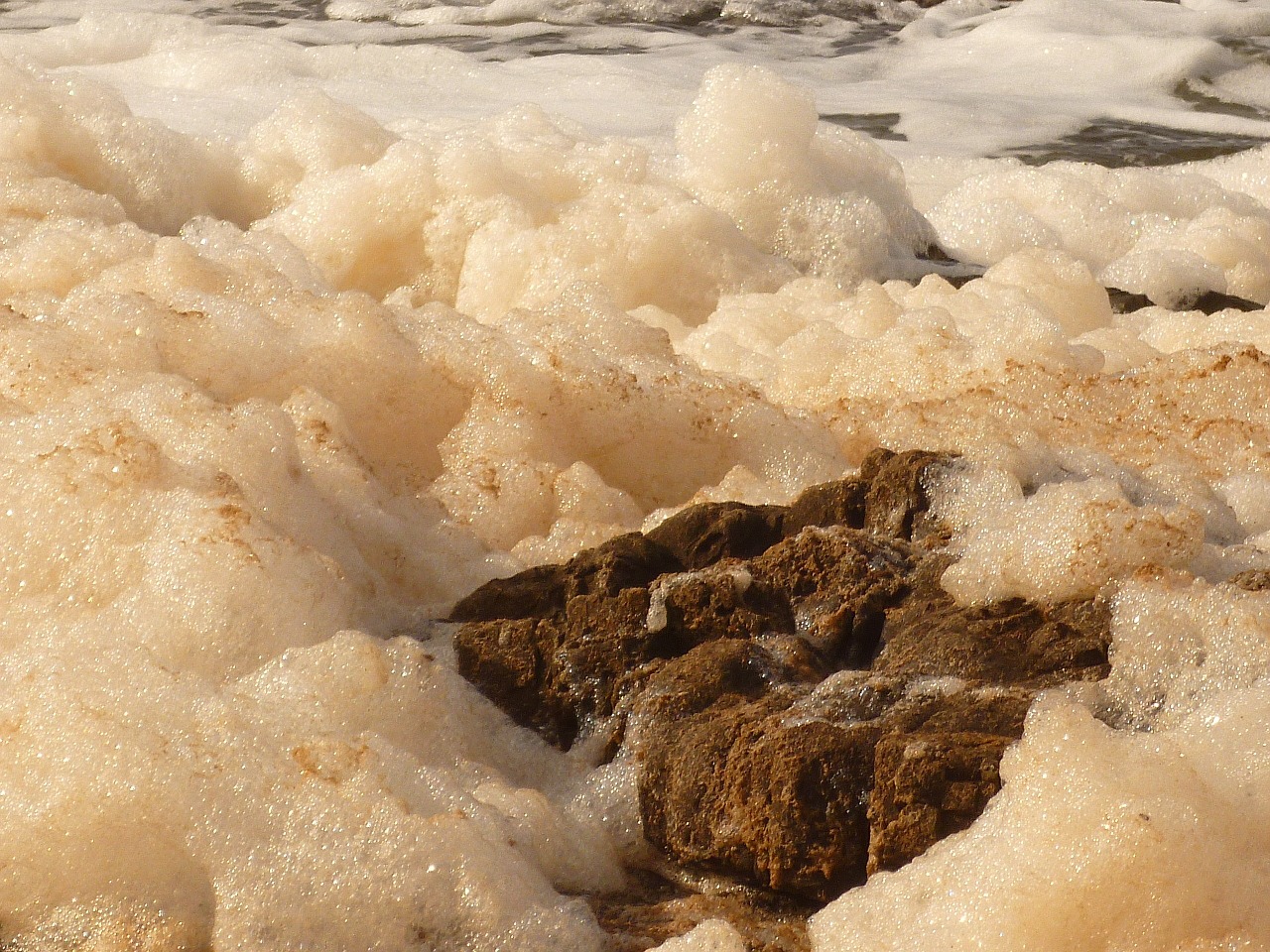 foam rocks sea free photo