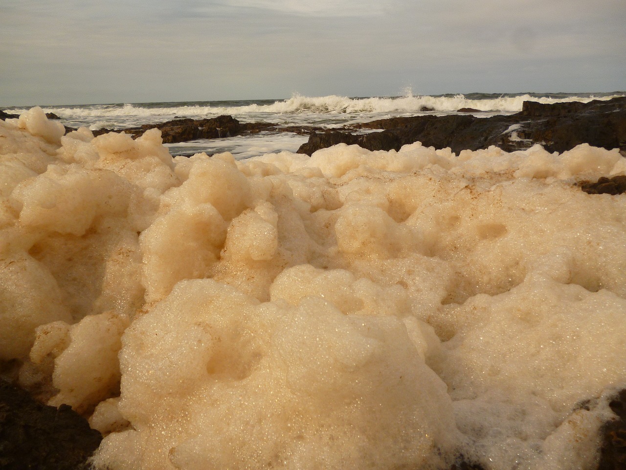 foam sea costa free photo
