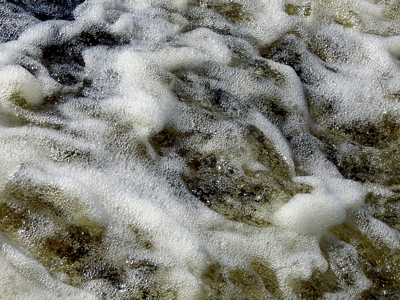 foam water wave free photo