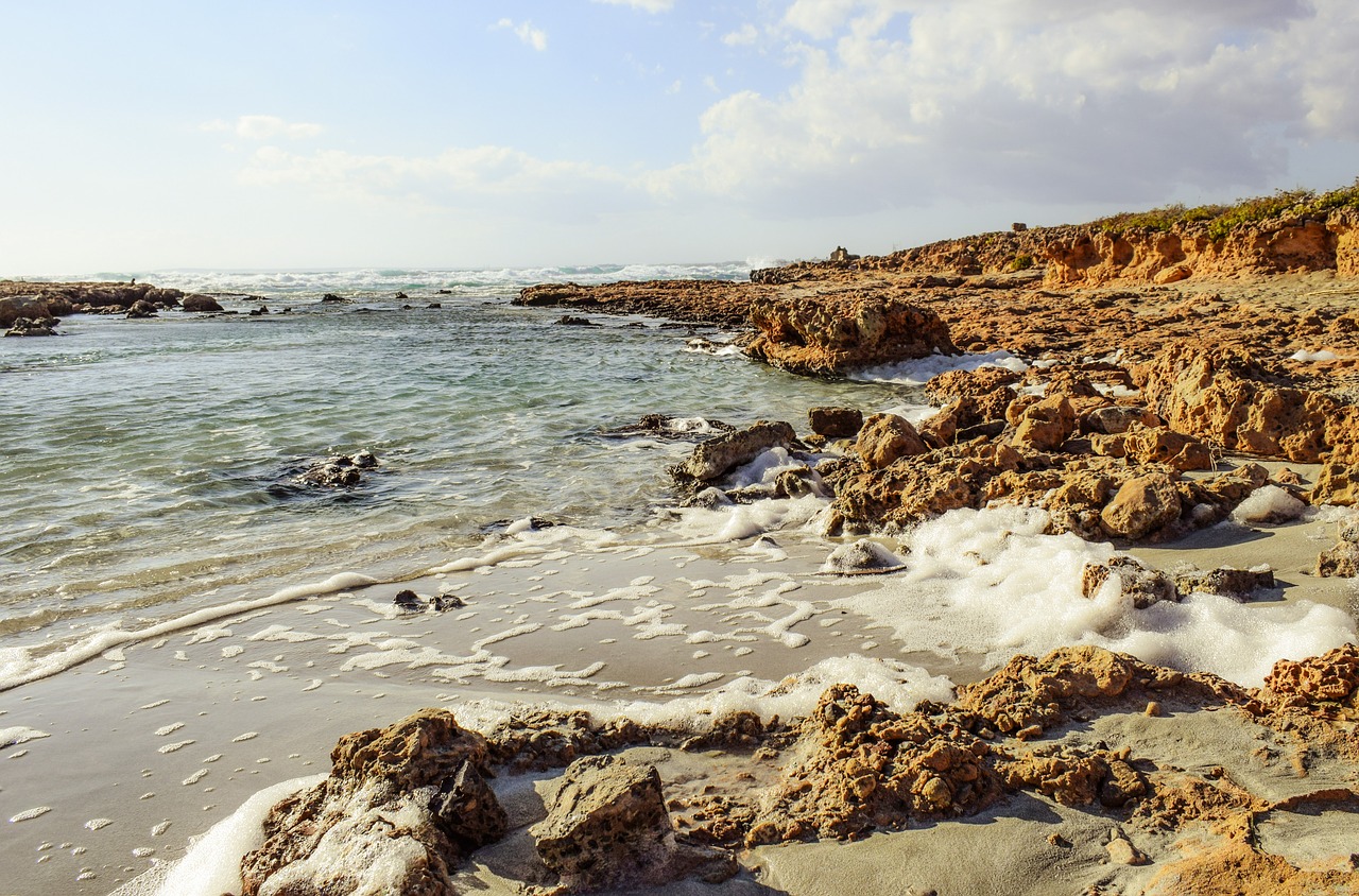 foam rocky coast waves free photo