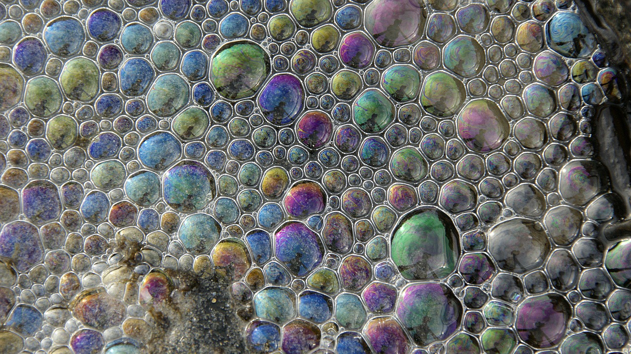 foam bubble sea free photo