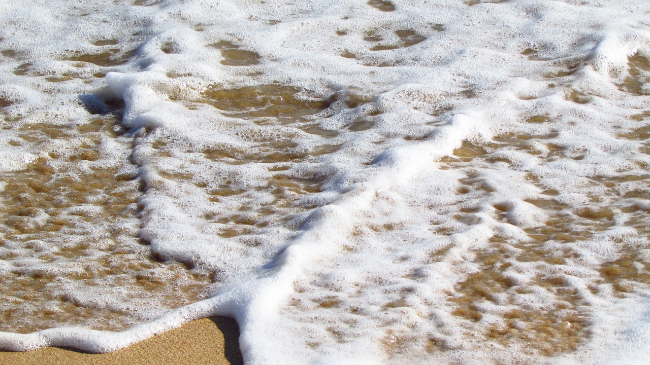 foam sea sand free photo