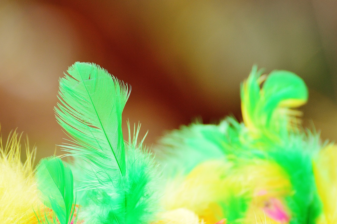 foam balls feather colorful free photo