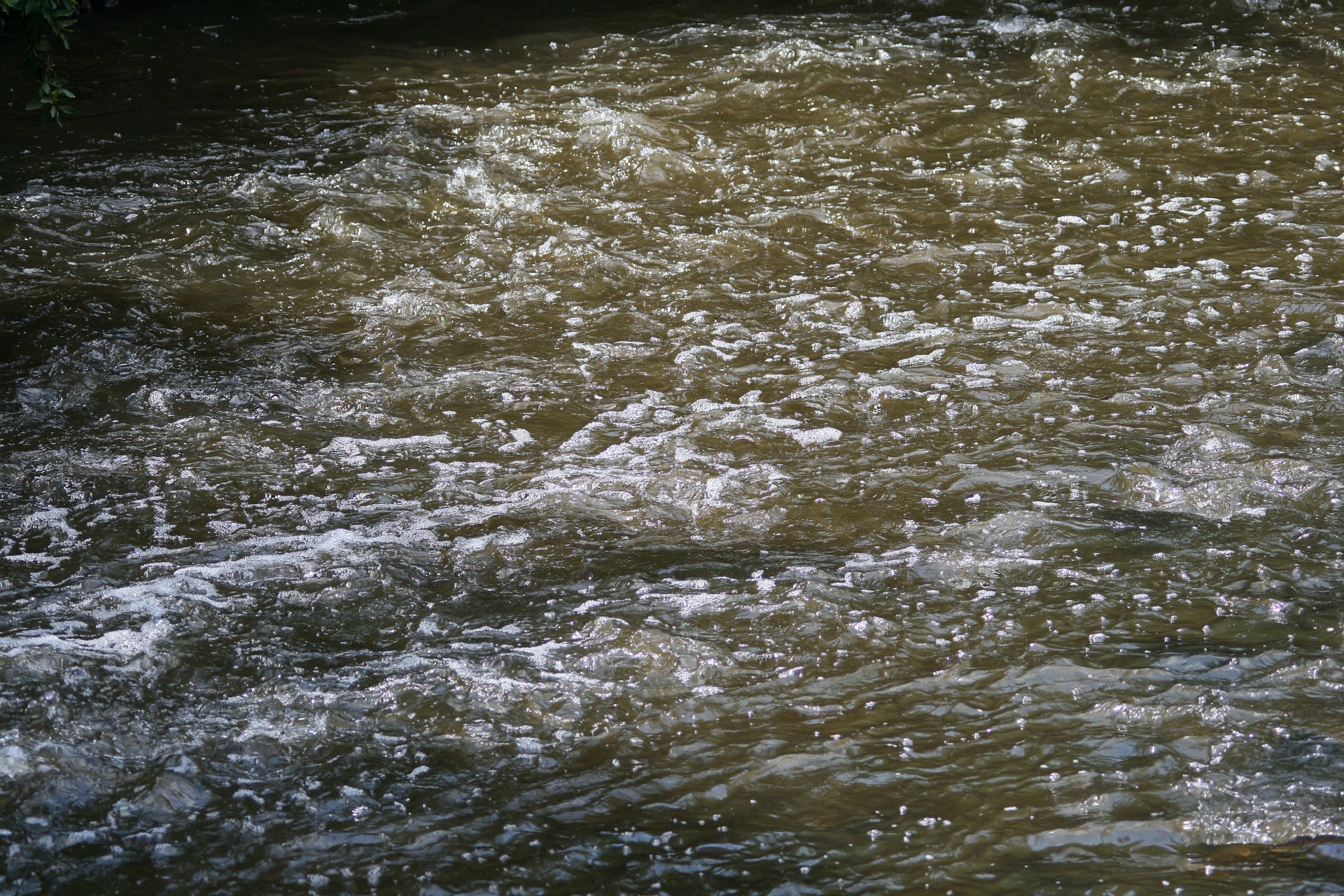 water river stream free photo