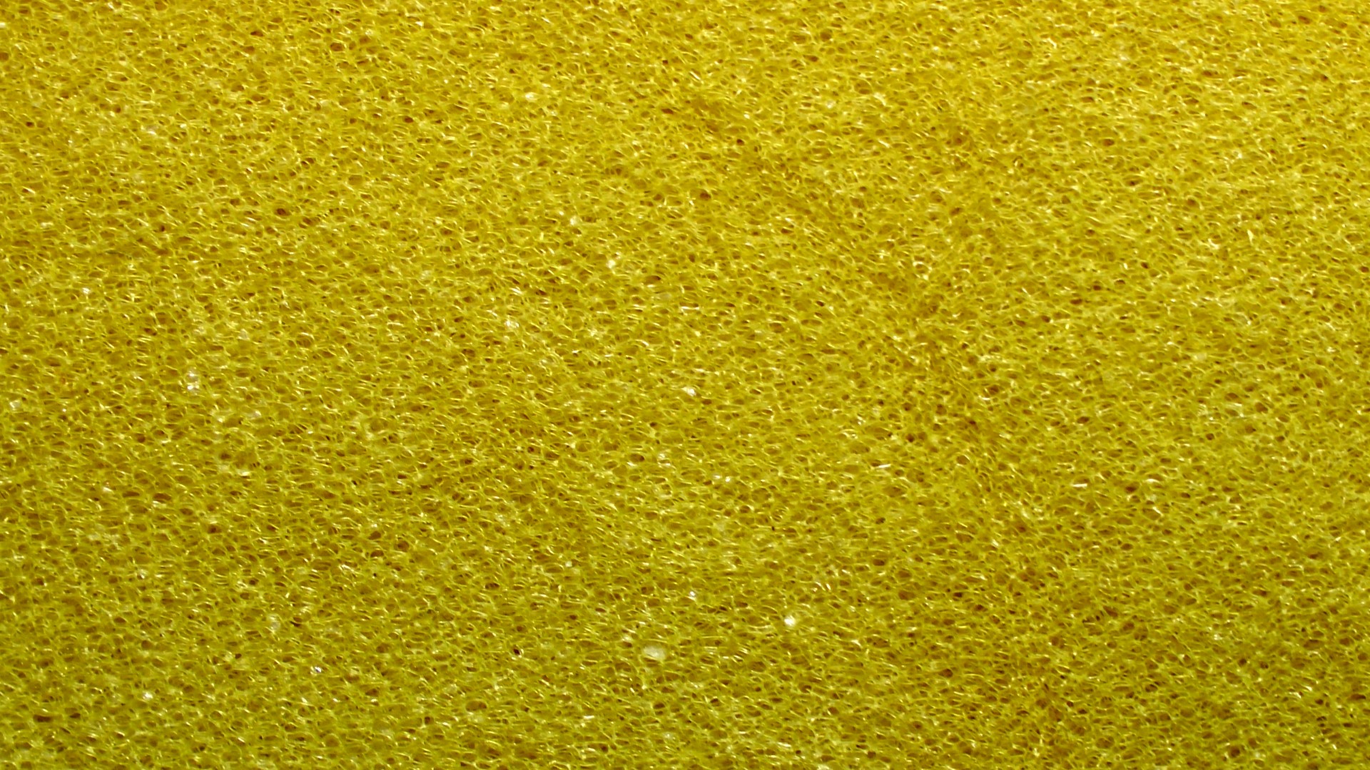 foam background sponge free photo