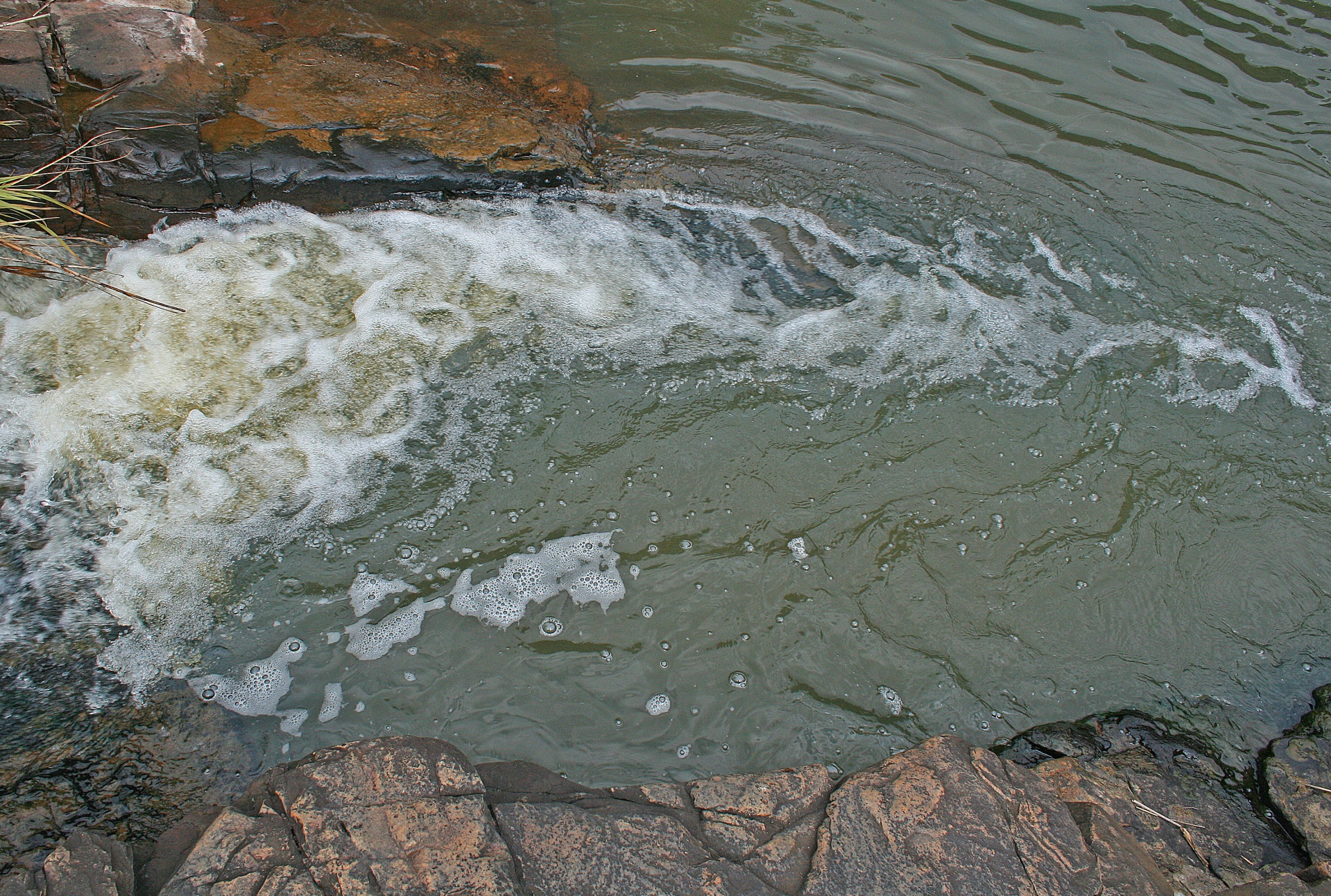 water stream flowing free photo