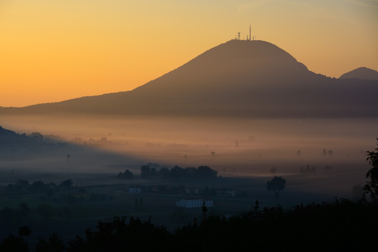 fog morning sun back light free photo