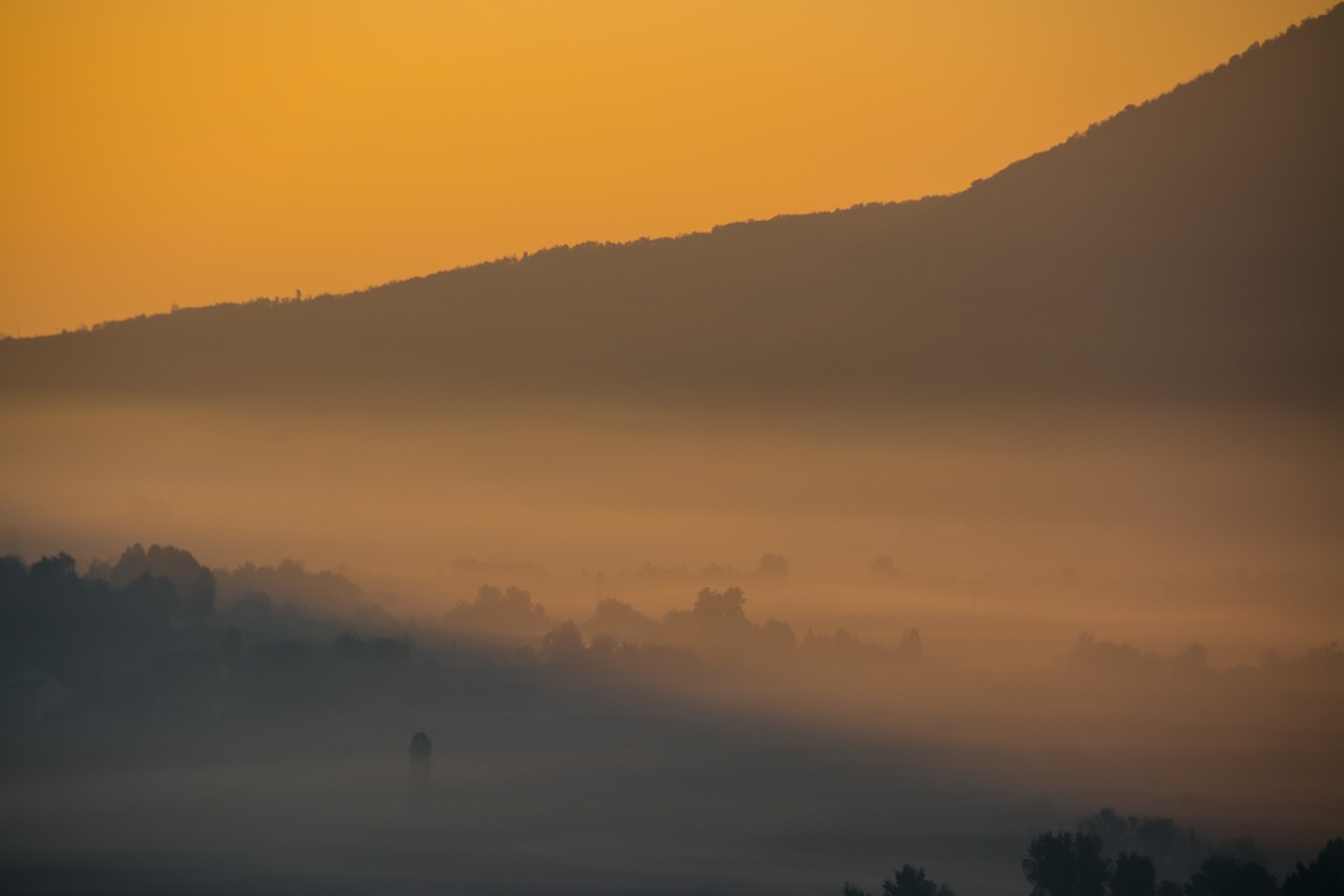 fog morning sun back light free photo