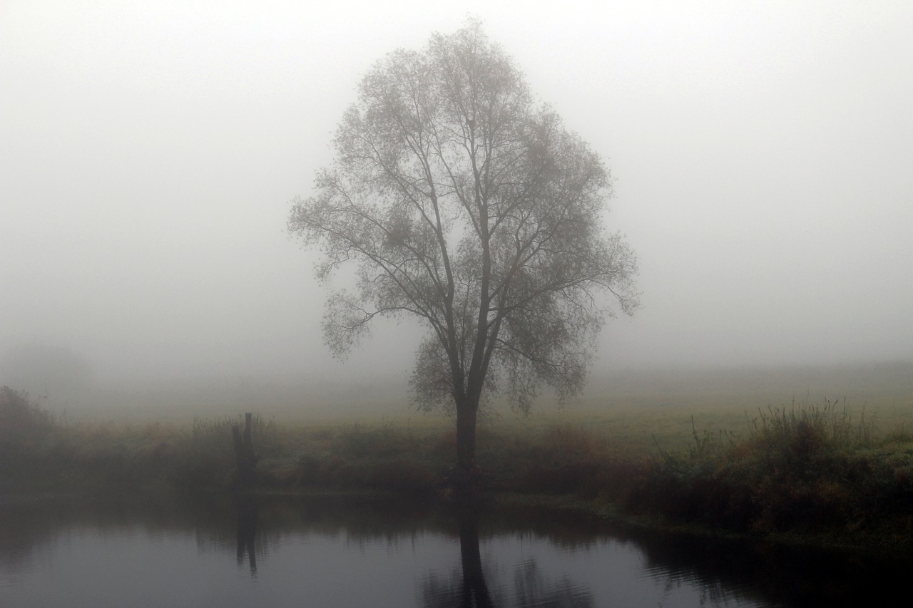 fog autumn riverside free photo