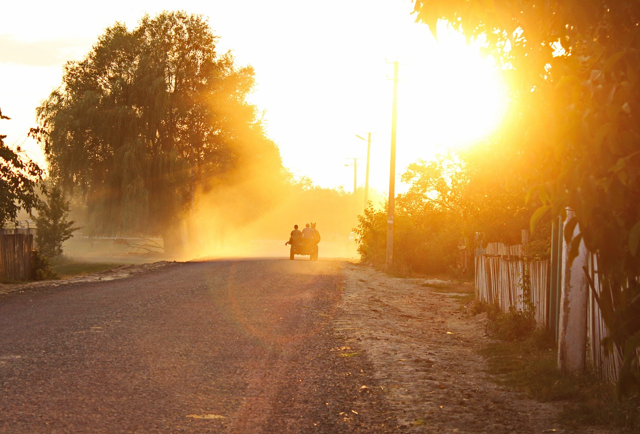 fog cart sunset free photo