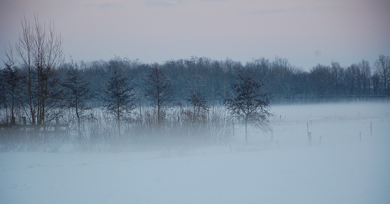 fog landscape winter free photo