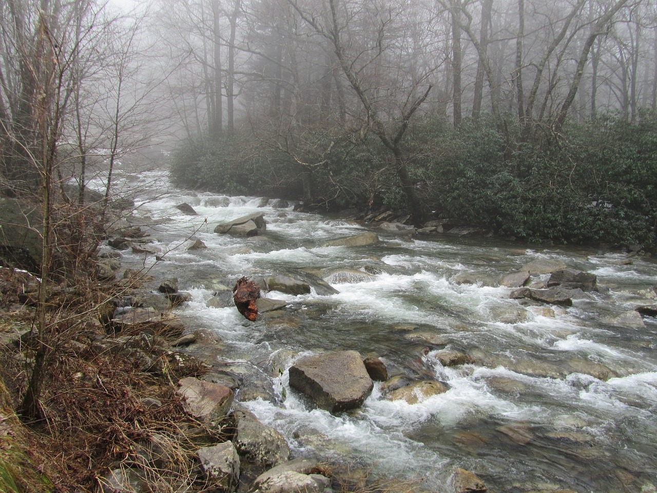 fog creek nature free photo